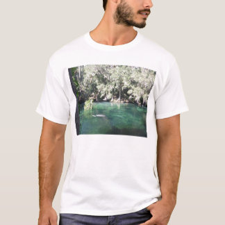 T-shirt Manatees at Blue Spring Shirt