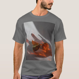 T-shirt Manches courtes pour hommes Amber Grey
