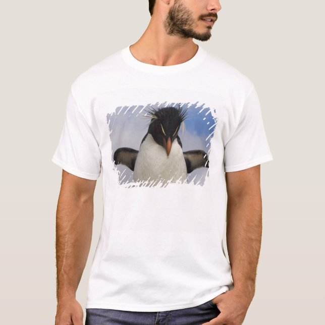 T-shirt Manchot de Hoppe Eudyptes chrysocome (Devant)
