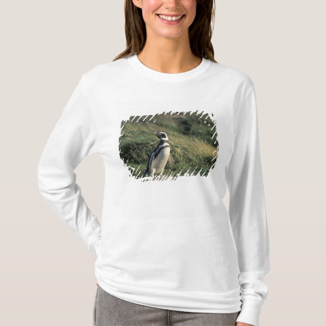 T-shirt Manchot de Magellan (Spheniscus magellanicus), (Devant)