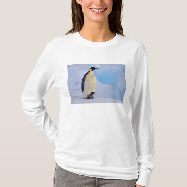 T-shirt Manchot empereur | Aptenodytes (Devant)