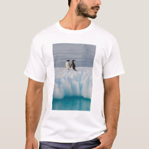 T-shirt manchot gentoo, Pygoscelis Papua, sur la glace gla