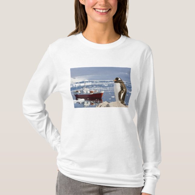 T-shirt Manchot papou (Devant)