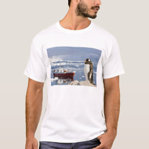 T-shirt Manchot papou