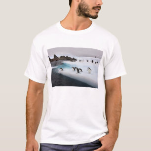 T-shirt Manchots à jugulaire