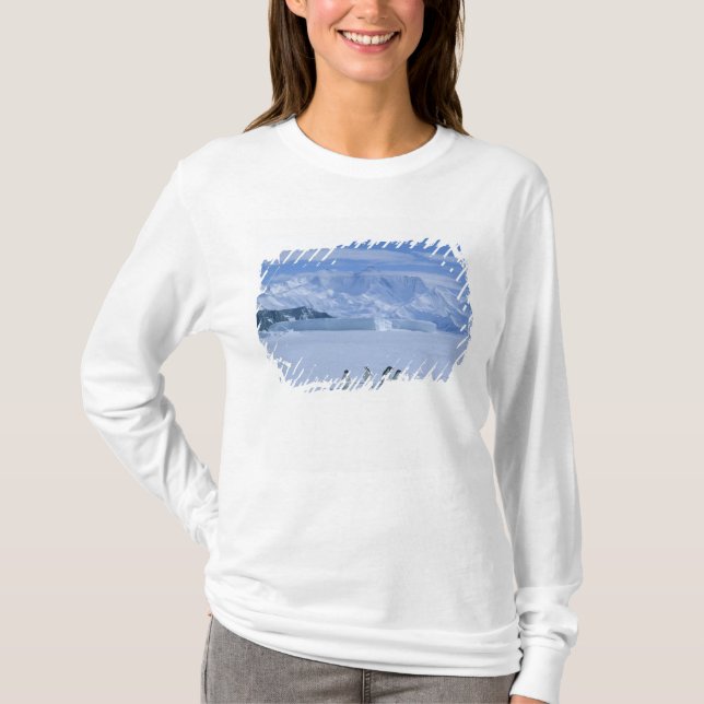 T-shirt Manchots Adélie, Pygoscelis adeliae), (Devant)
