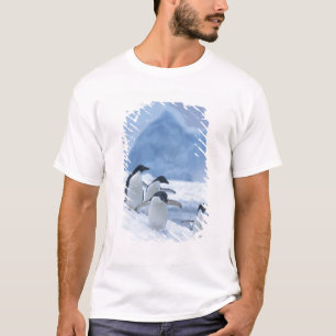 T-shirt Manchots Adélie (Pygoscelis adeliae) sur la glace,