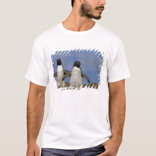 T-shirt Manchots de Hoppe Eudyptes chrysocome