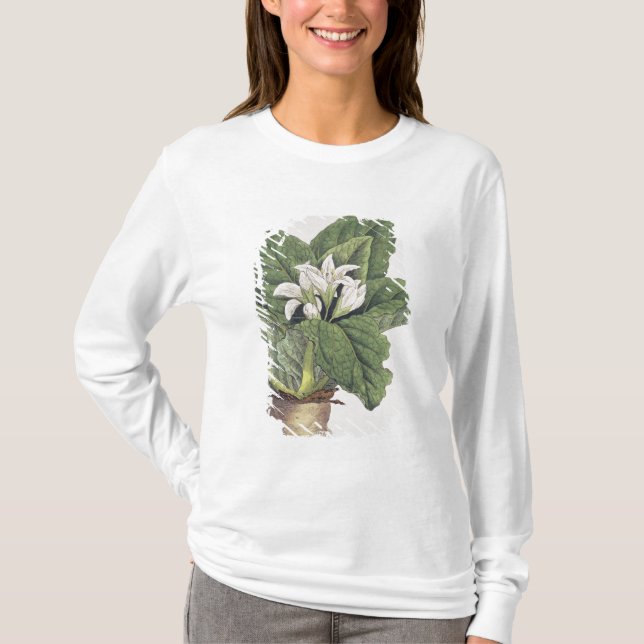 T-shirt Mandragora d'atrope (Devant)