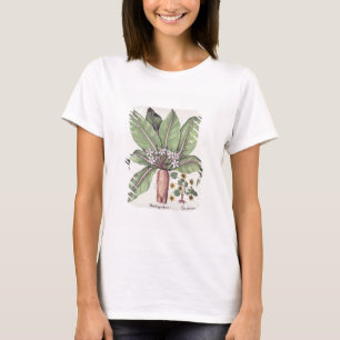 T-shirt Mandragore d'automne, du "Hortus Eystettensis" par