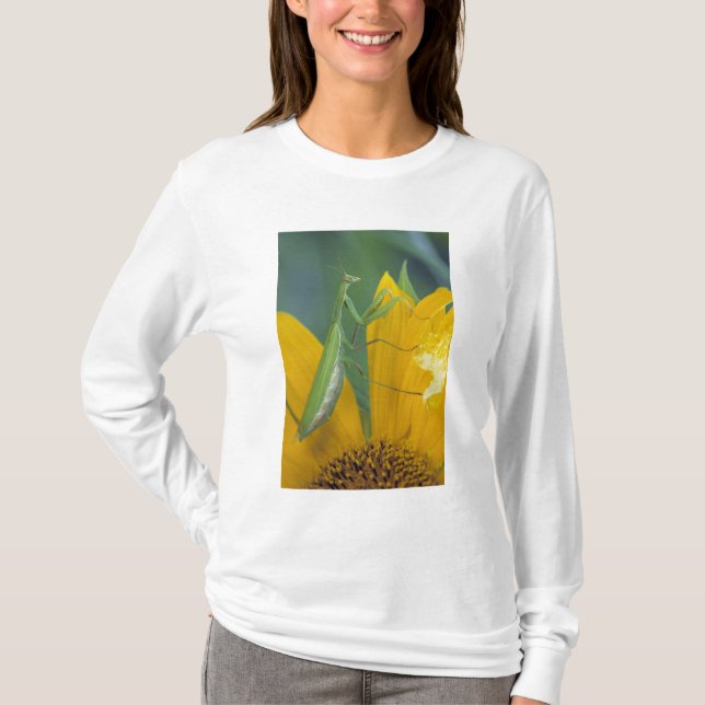 T-shirt Mante religieuse femelle (Devant)