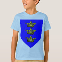 Manteau du Roi Arthur des bras