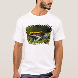 T-shirt Mantelle à oreilles noires, Mantella expectata,