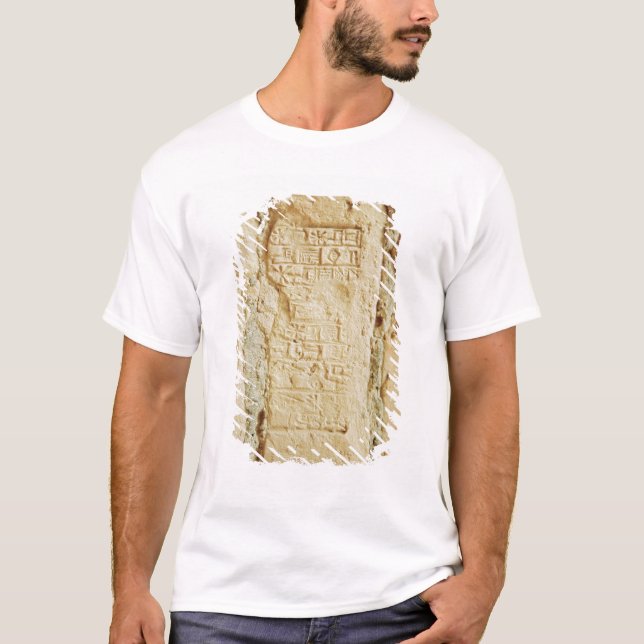 T-shirt Manuscrit cunéiforme sur un mur de palais (Devant)