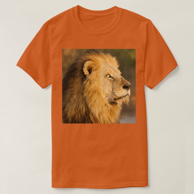 T-shirt Mapogo lion in his prime (Design devant)