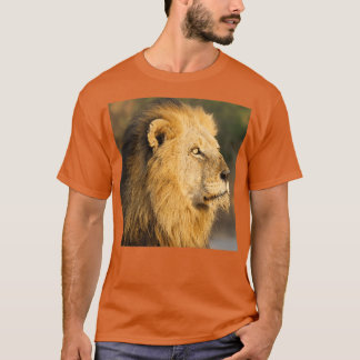 T-shirt Mapogo lion in his prime
