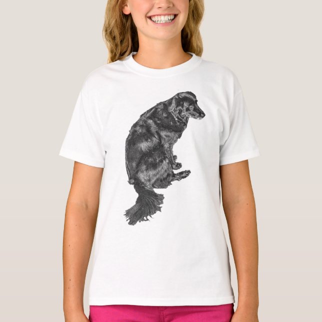 T-shirt Marche Décontractée de rue — Retriever (Devant)