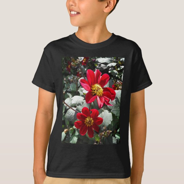 T-shirt marguerite rose chaud rouge / marguerites fleurs (Devant)