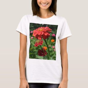 T-shirt marguerite rouge orangé fleuri, jardin de fleurs r
