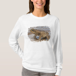 T-shirt Marina de Cane Toad Rhinella, anciennement Bufo