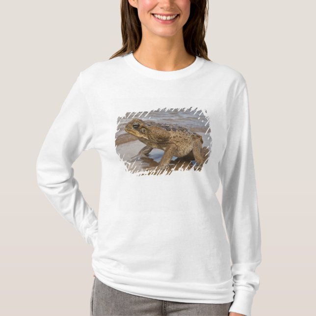 T-shirt Marina de Cane Toad Rhinella, anciennement Bufo (Devant)