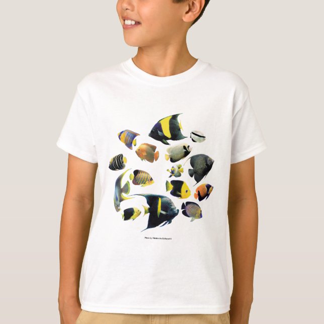 T-shirt Marine angelfish (Devant)