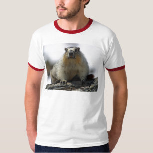 T-shirt Marmot gonflé par jaune