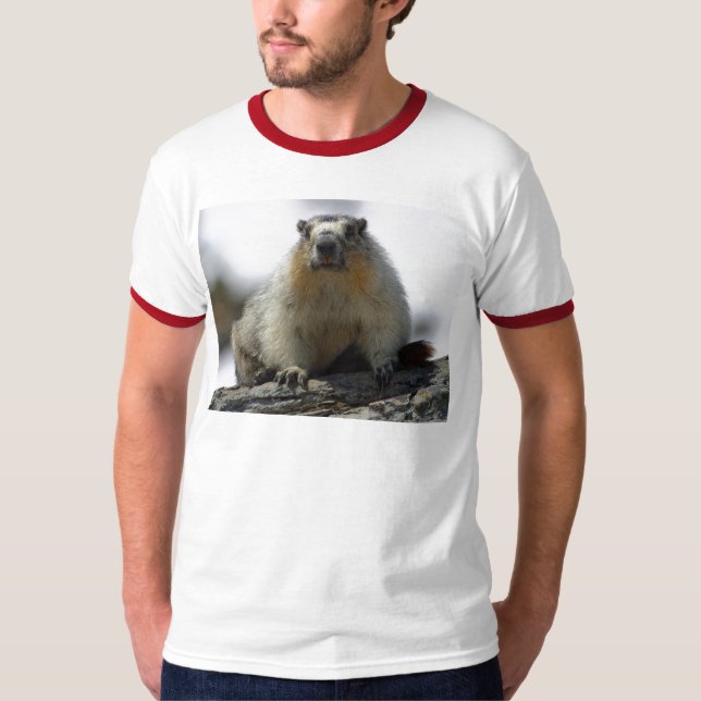 T-shirt Marmot gonflé par jaune (Devant)