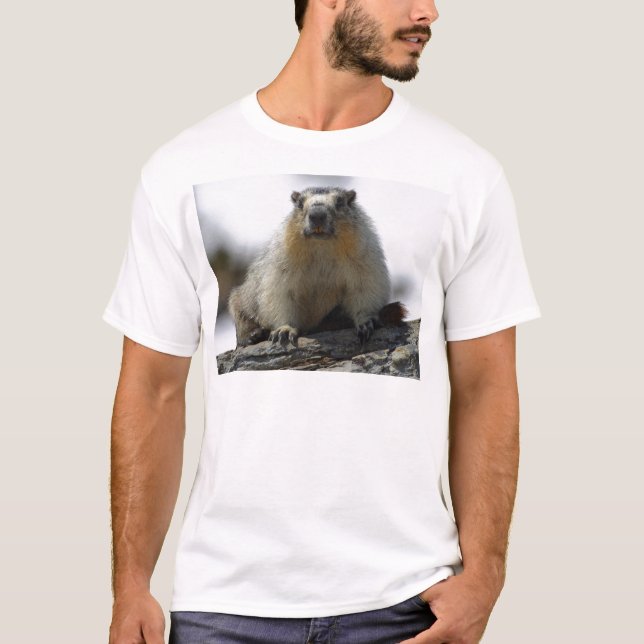 T-shirt Marmot gonflé par jaune (Devant)