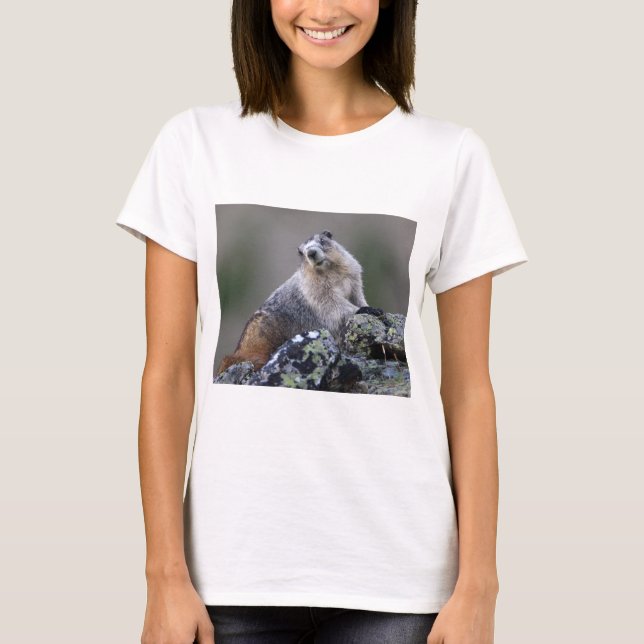 T-shirt marmotte (Devant)