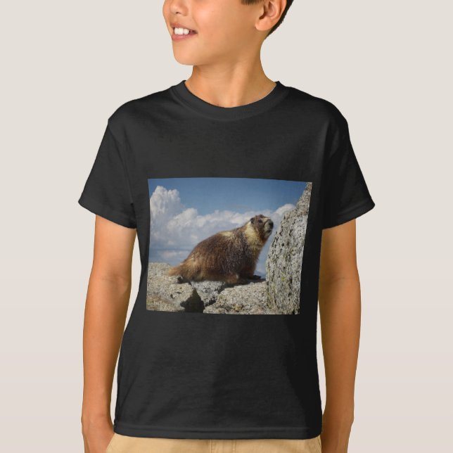 T-shirt Marmotte à ventre jaune en Yosemite (Devant)