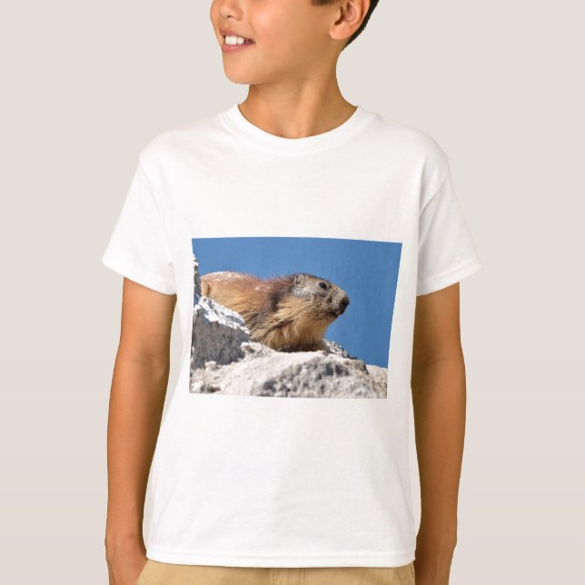 T-shirt Marmotte alpine sur roche (Devant)