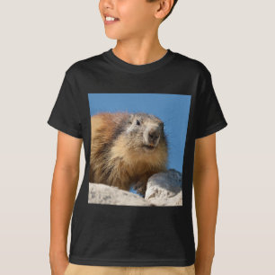 T-shirt Marmotte alpine sur roche