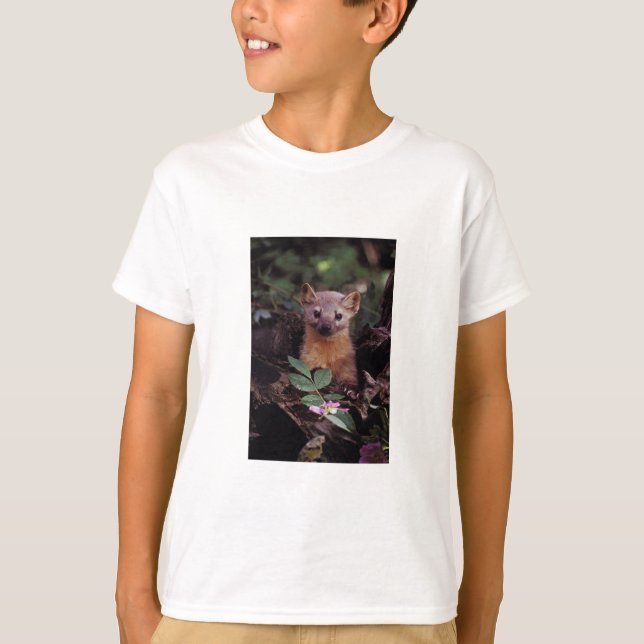 T-shirt Martre de pin (Devant)
