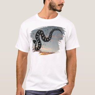 T-shirt Massasauga Rattle Snake Medicine sur le coucher du