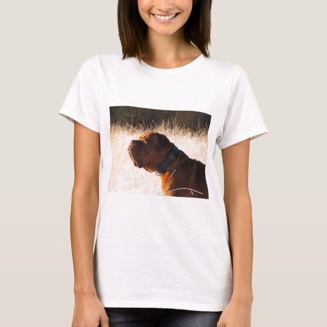 T-shirt Mastiff (Devant)