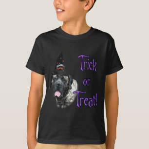 T-shirt Mastiff (broche) Trick