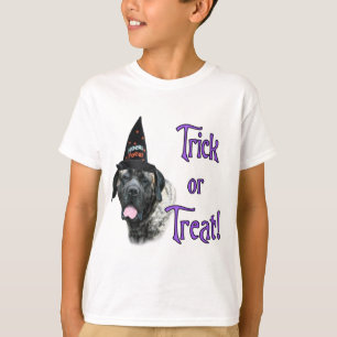 T-shirt Mastiff (broche) Trick