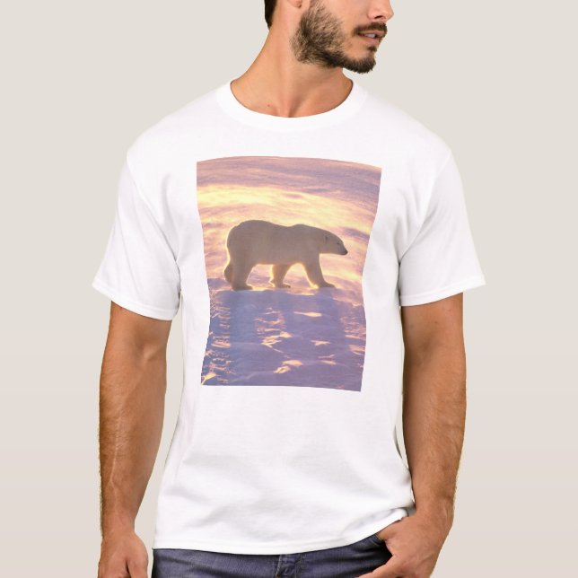 T-shirt Matin 3 d'ours blanc (Devant)