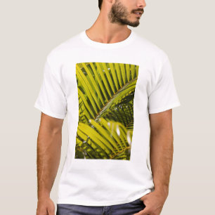 T-shirt Maurice, Maurice central, Moka, palmier