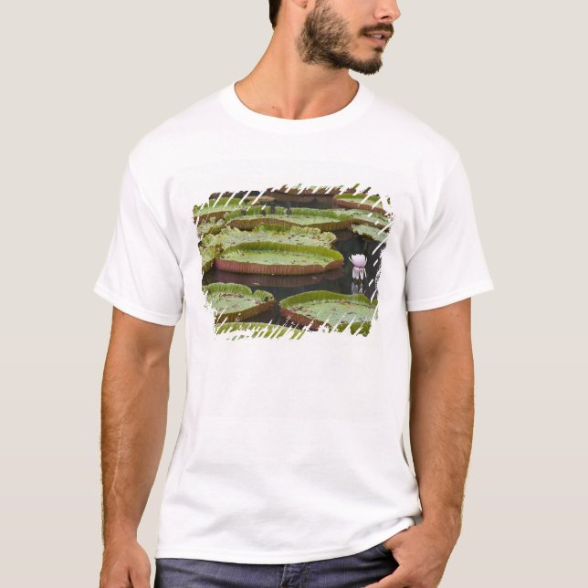 T-shirt Maurice, Pamplemousses, SSR Botanique (Devant)