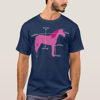 T-shirt Medical Dimensions Explained On A Unicorn