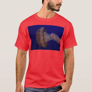 T-shirt Méduse à Monterey Bay Aquarium 1