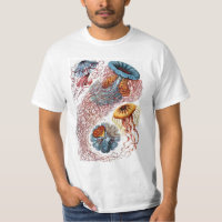 Méduse vintage par Ernst Haeckel, Discomedusae