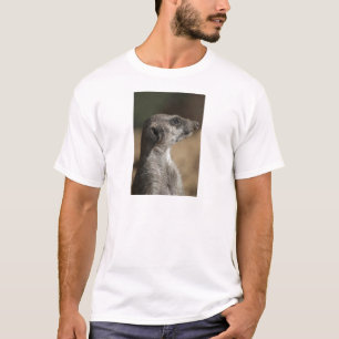 T-shirt Meerkat