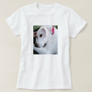 T-shirt Mélange chien blanc du laboratoire