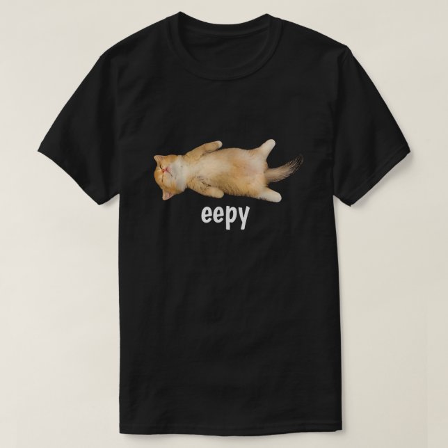 T-shirt Mème de chat endormi humour sarcastique (Design devant)