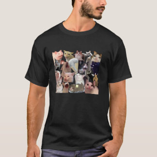 T-shirt Mème de chat tous les chats idiots