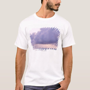 T-shirt Mer 9