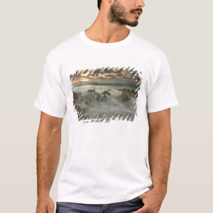 T-shirt Mer des Caraïbes, Îles Caïmans. Vagues déferlantes